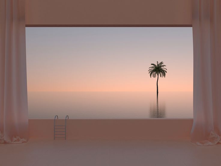 a palm tree sitting in the middle of an empty room with curtains on either side