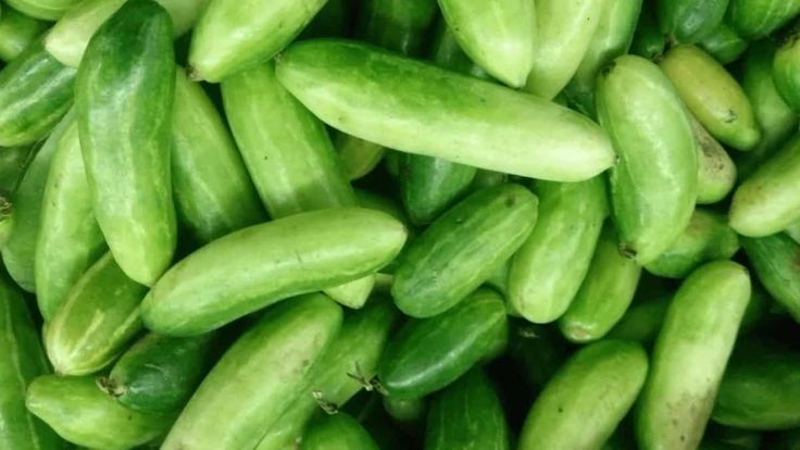 cucumbers are piled up together to be sold