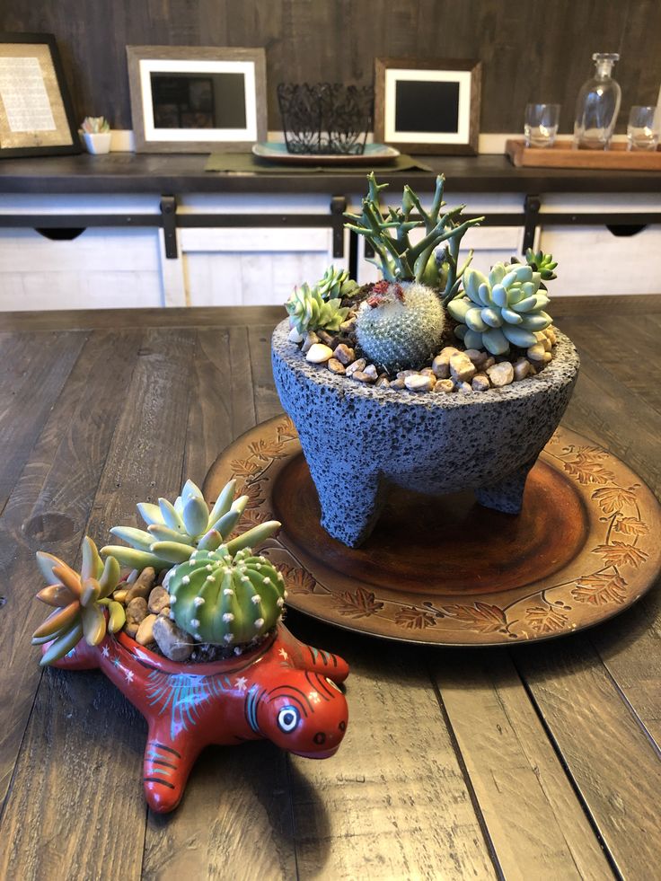 there are two small plants in the potted planters on the table next to each other