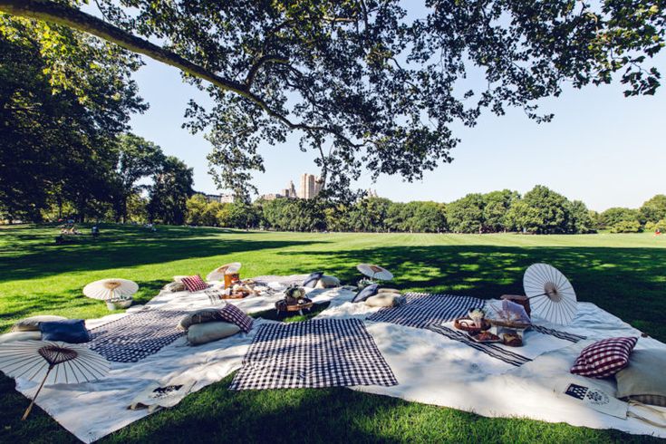 an outdoor picnic is set up on the grass