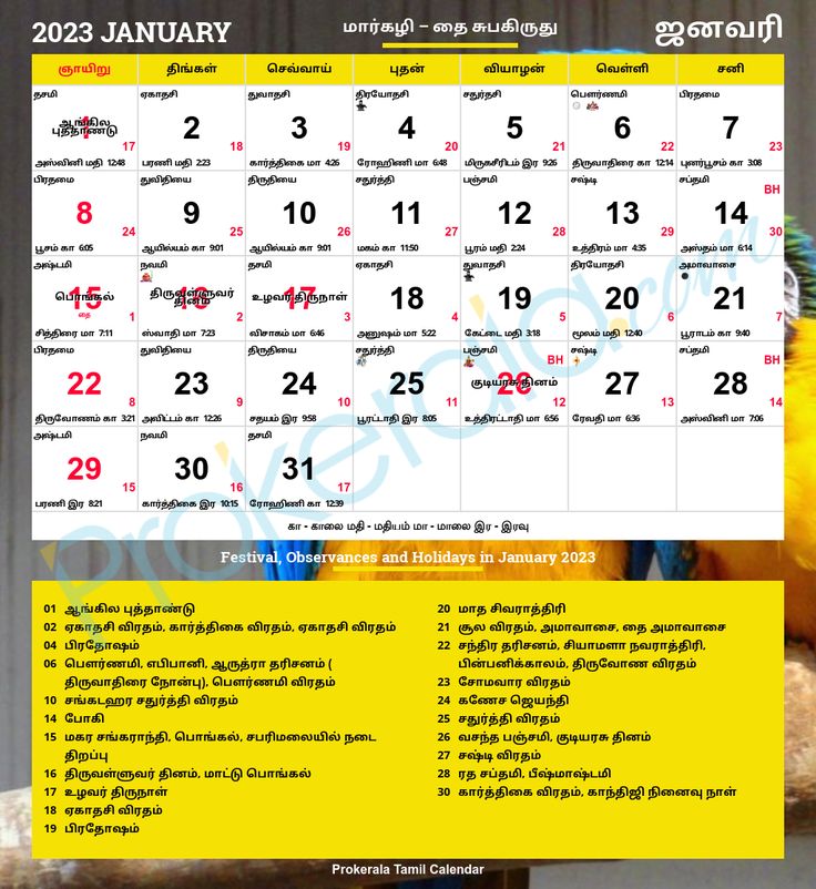 Tamil Nadu has 5 public holidays in January 2023. Number of bank holidays in January 2023 is 2. Jan 2023 Calendar, Calendar January 2023, Tamil Calendar, Calendar January, Holidays 2023, Monster Crafts, Calendar 2023, 2023 Calendar, January 15