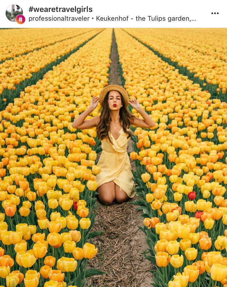 a woman sitting in the middle of a field full of yellow tulips