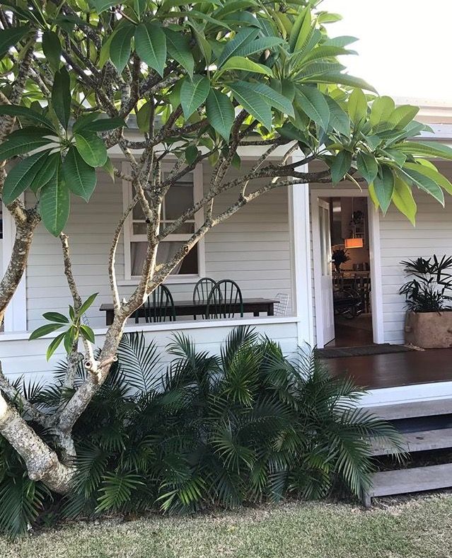 the instagram page shows an image of a house with trees and plants in front