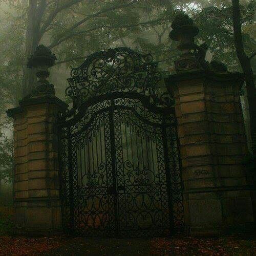 an iron gate in the middle of a park