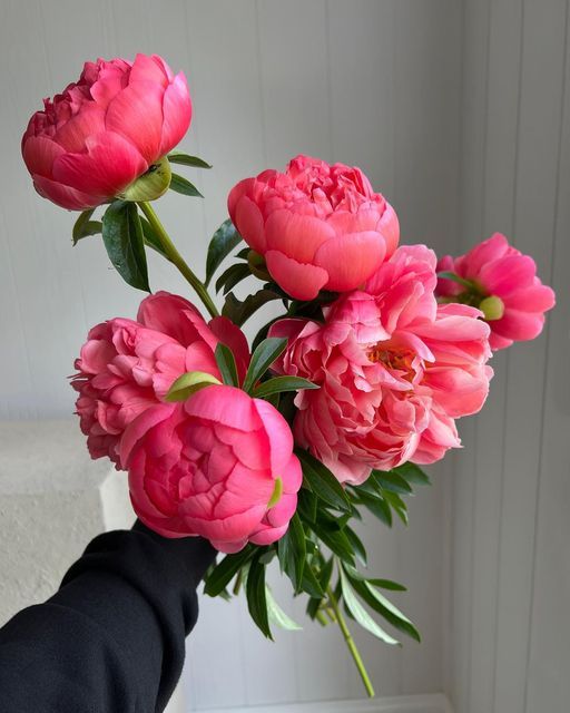 a person holding a bouquet of pink flowers in their hand with white walls behind them