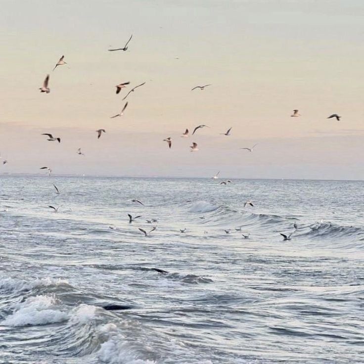 a flock of seagulls flying over the ocean with waves in the foreground