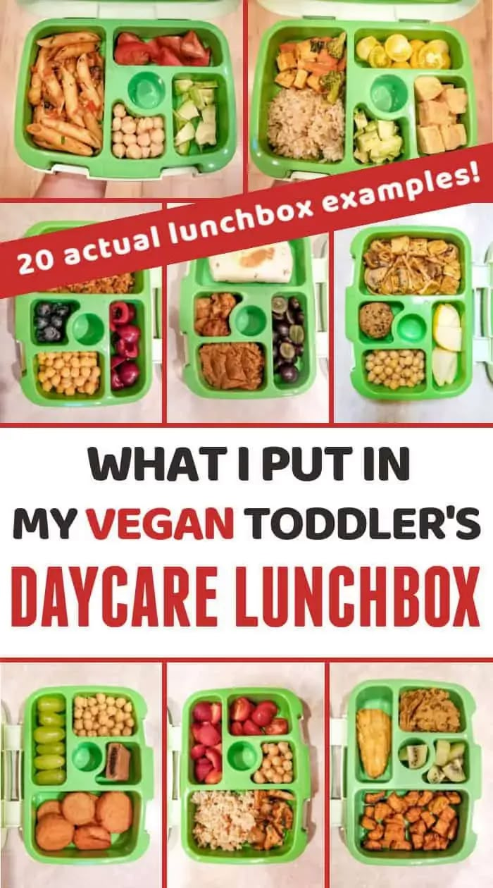 a collage of pictures showing different lunchboxes with the words, what i put in my vegan toddler's daycare lunch box