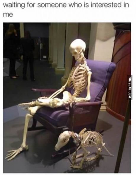 two skeletons sitting in chairs on display at a museum