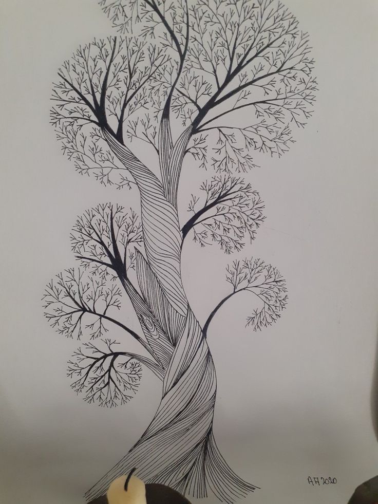 a drawing of a tree with many branches on the top and bottom part of it