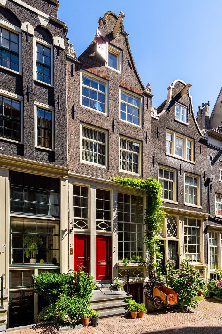 a row of houses with red doors and windows on the front, along side green plants