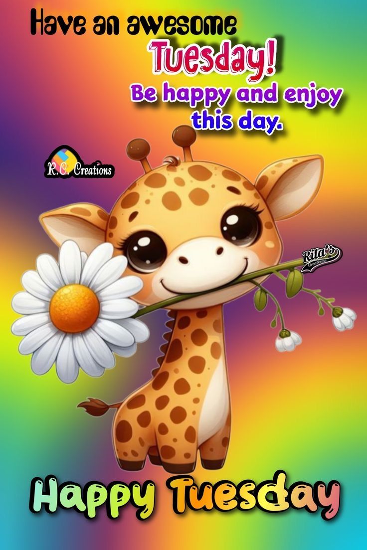 a cute giraffe holding a flower in it's mouth with the words happy tuesday