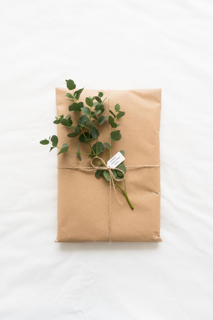 a package wrapped in brown paper and tied with a green leafy plant on top