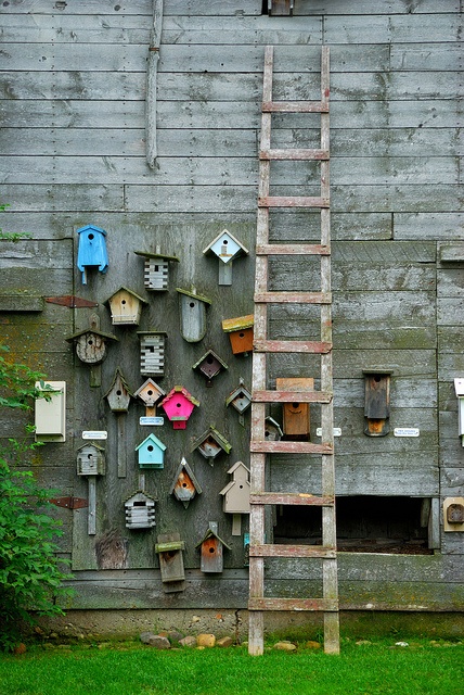 several bird houses are on the side of a building