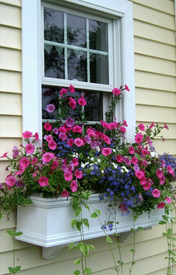 a window box filled with colorful flowers next to a house