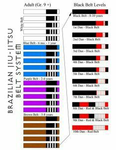 an image of the back side of a black belt with different colors and sizes on it