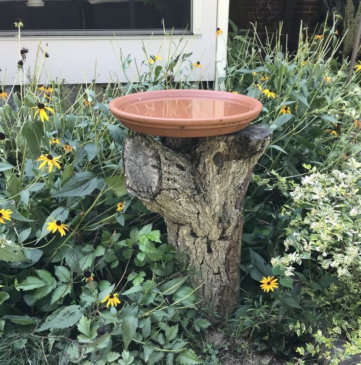 a birdbath sitting on top of a tree stump in front of some flowers