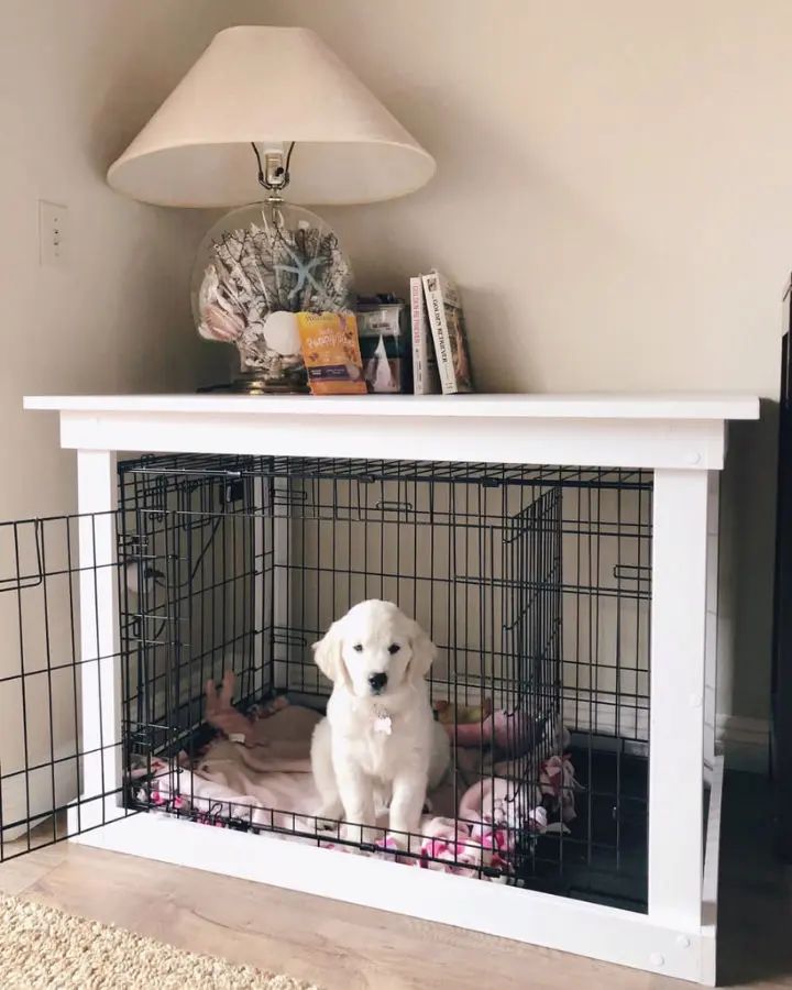 a white dog sitting in a cage on top of a table next to a lamp