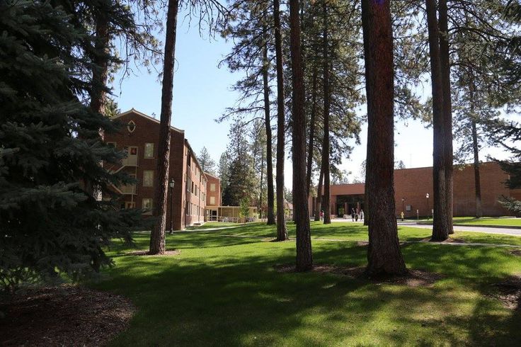 trees and grass in front of a brick building