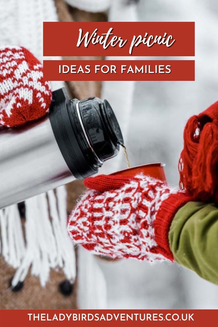 a person holding a cup and wearing mittens with the words winter picnic ideas for families