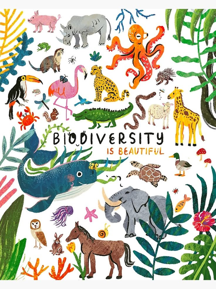 an illustrated poster with animals and plants in the background that says biodiversity is beautiful