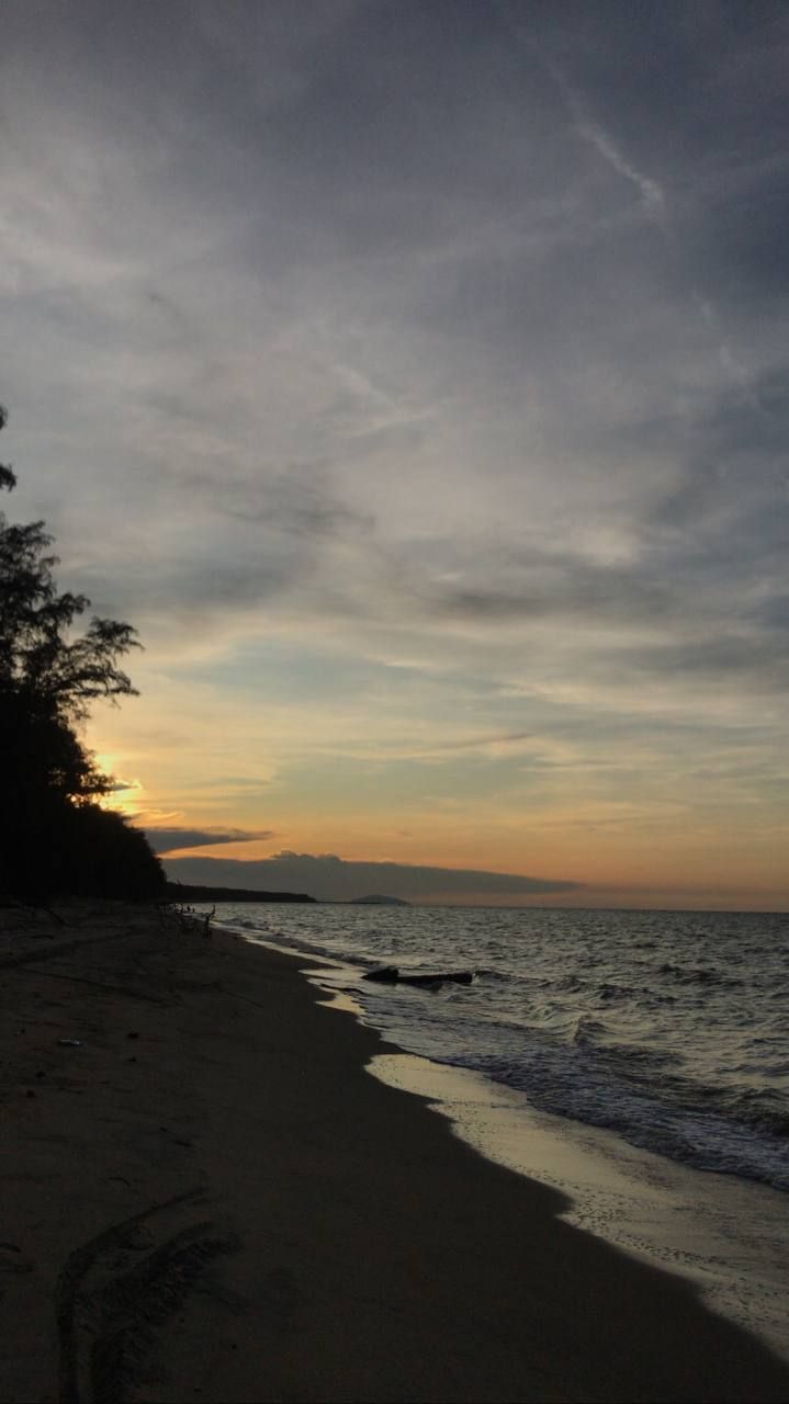 the sun is setting at the beach with trees on the shore and water in the foreground