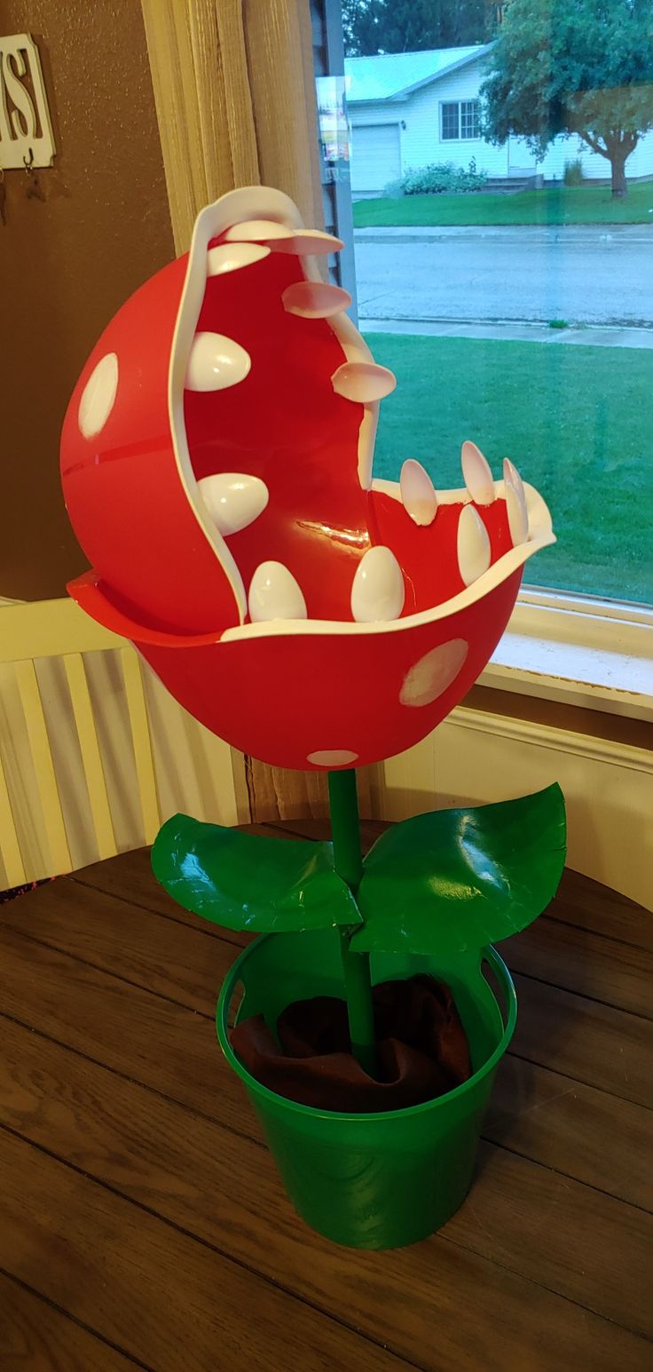 a red and white flower sitting on top of a wooden table next to a window