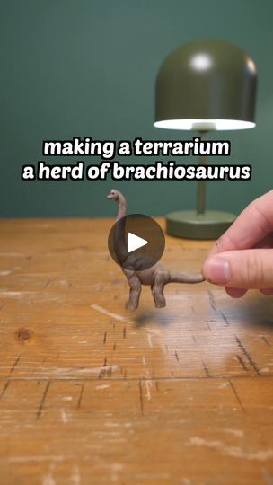 someone is making a terrarium for a herd of brachiosauruss on the table