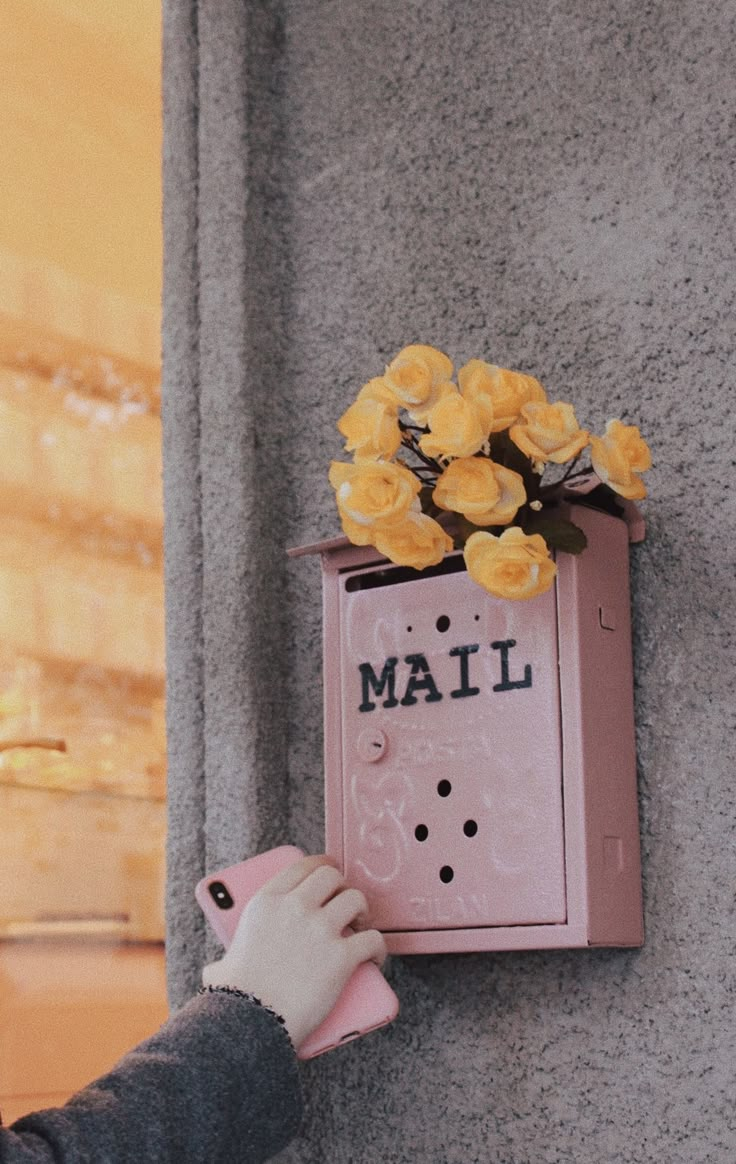 Pink Mailbox Aesthetic, Mailbox Aesthetic, Mailbox Photography, Yellow Mailbox, Pink Mailbox, Cascading Roses, Left On Read, Mailbox Flowers, City Cafe