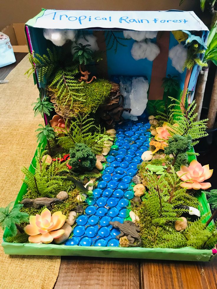 an open cardboard box filled with plants and rocks