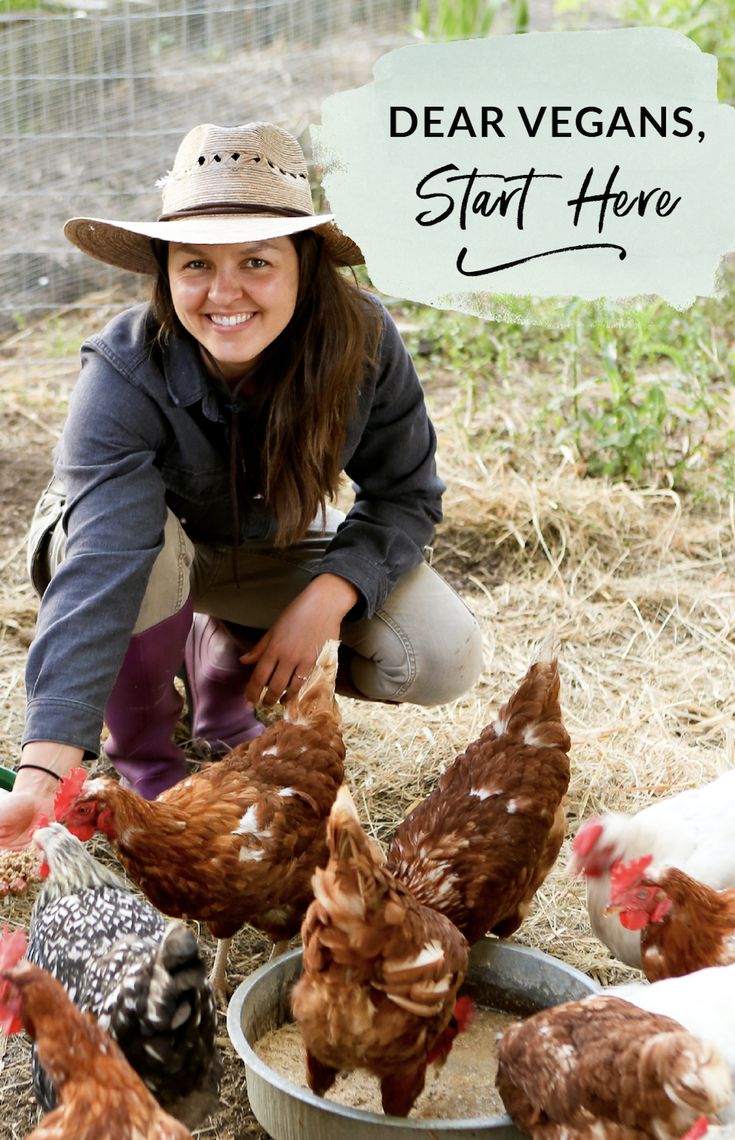 a woman kneeling down to feed chickens in a bowl with the words dear vegans, start here