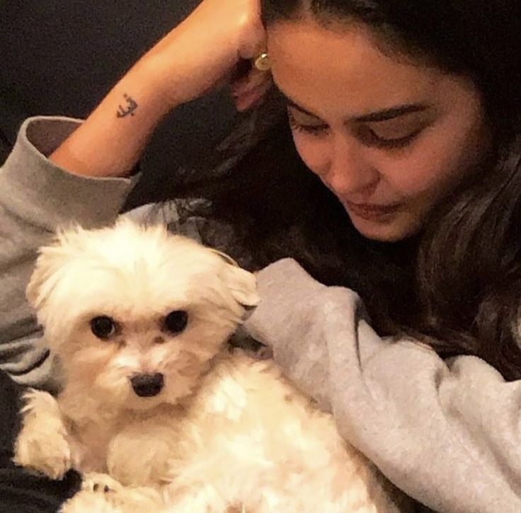 a woman holding a small white dog in her arms