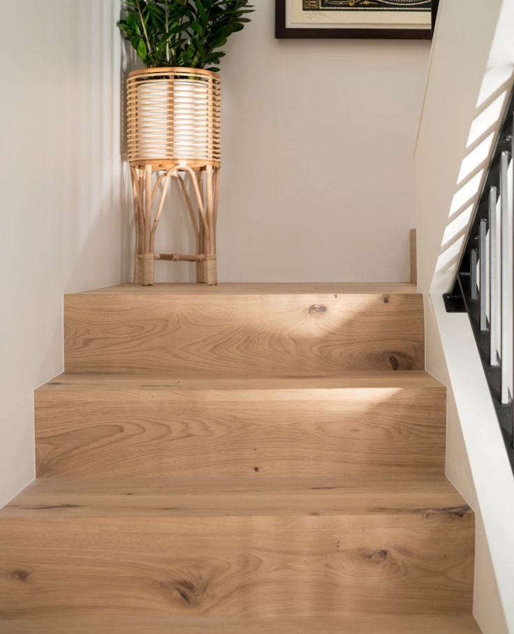 there is a plant that is on the top of some stairs in this house with white walls and wooden steps