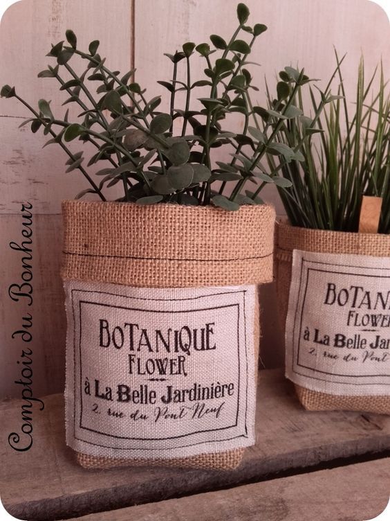 two potted plants sitting on top of a wooden shelf next to eachother