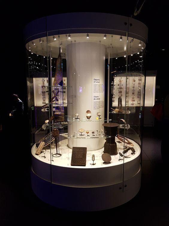 the display case is filled with many items and has glass walls that show different types of objects