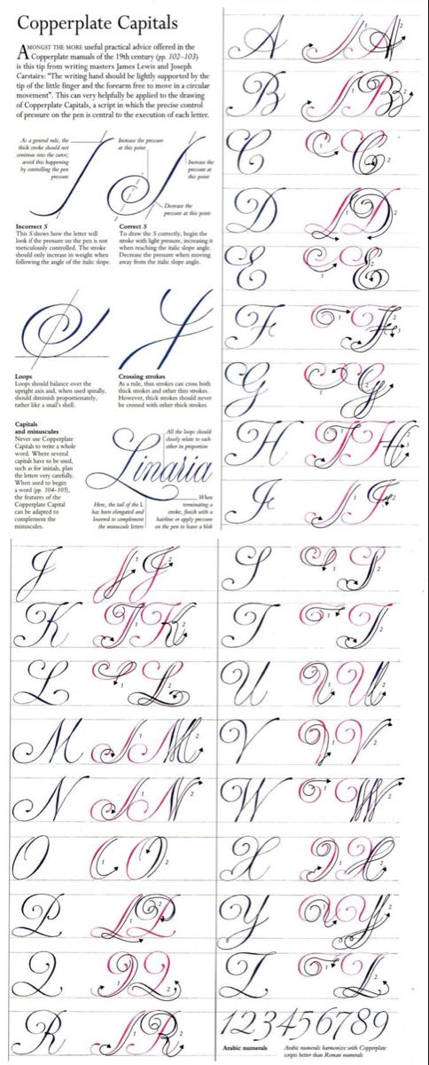 some type of calligraphy that is in different styles and font types, including the upper letters