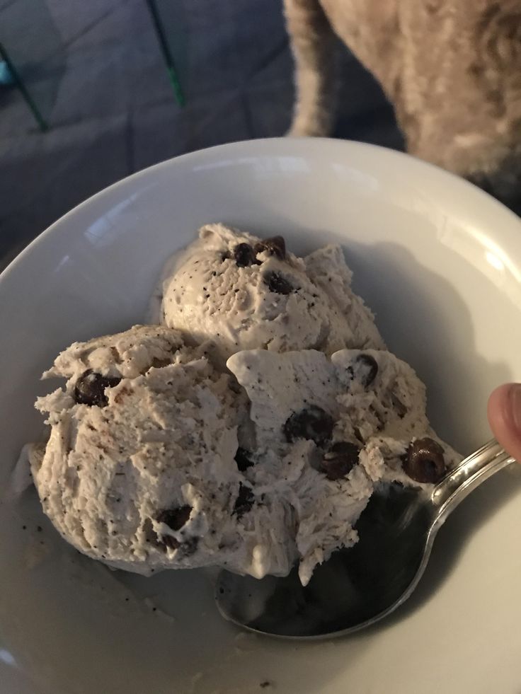 a bowl filled with ice cream and chocolate chip cookies on top of a white plate