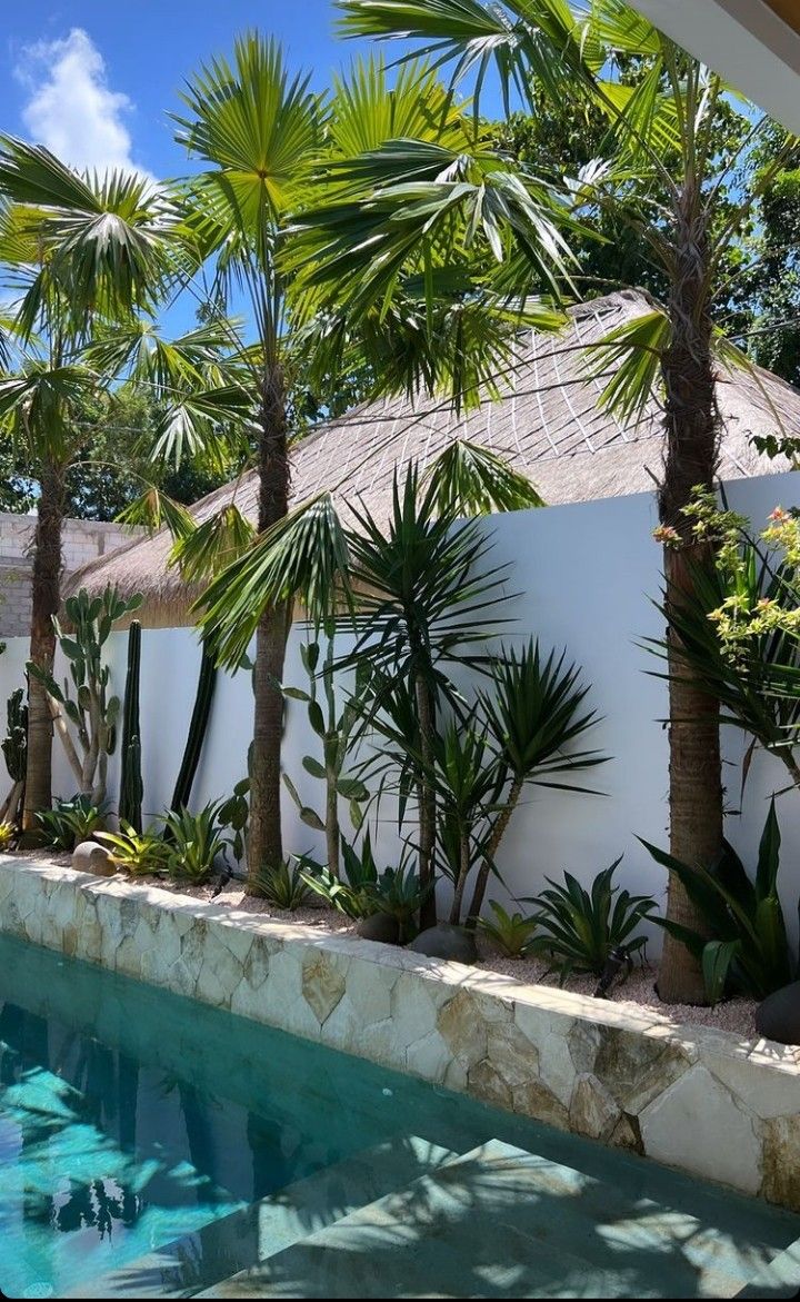 an outdoor pool surrounded by palm trees and other greenery next to a white wall