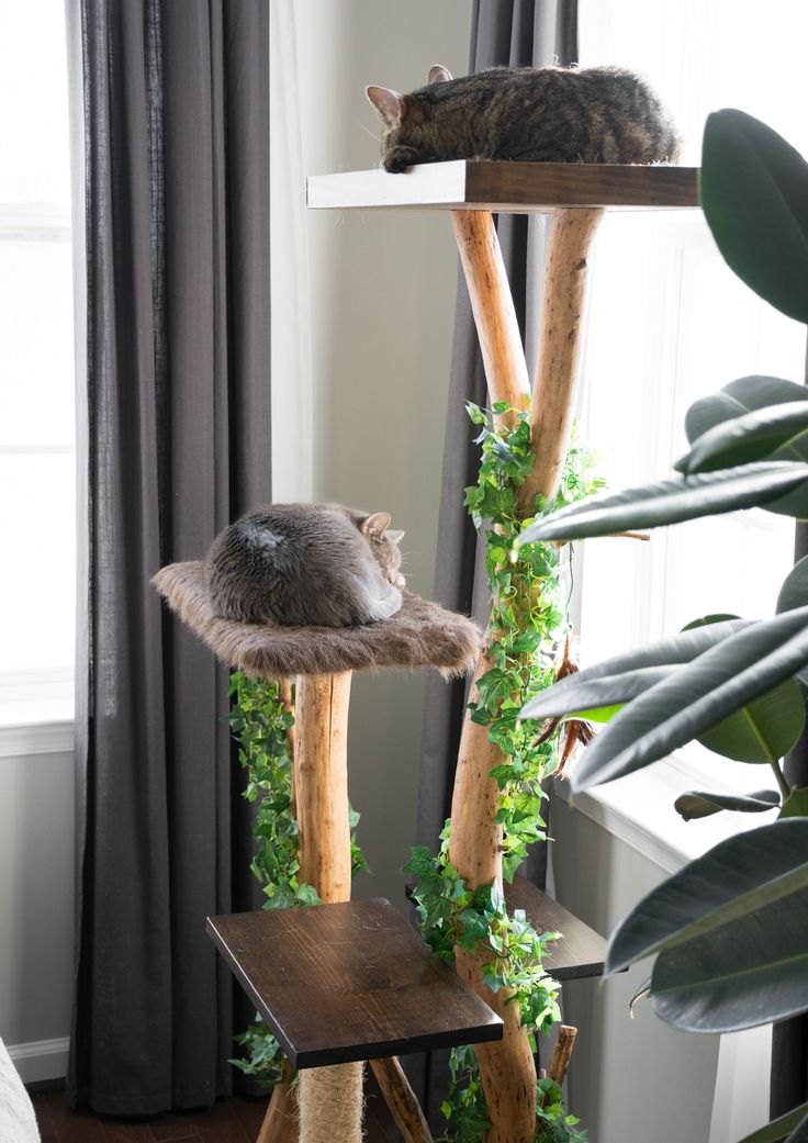 a cat sitting on top of a wooden perch