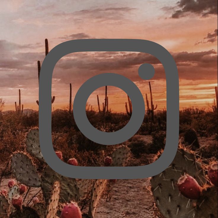 the instagram logo is displayed in front of cactus plants at sunset with an overcast sky