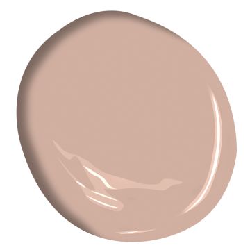 a light pink paint color with a white background and the top half of it showing