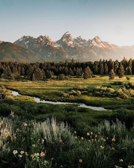 the mountains are covered in snow and green grass, with water running through the foreground