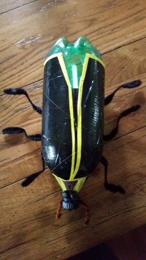 a small black and yellow insect on top of a wooden floor