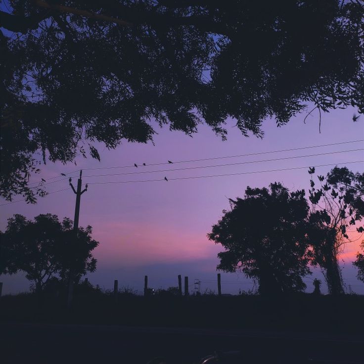 the sun is setting behind some trees and power lines in the distance with birds flying overhead