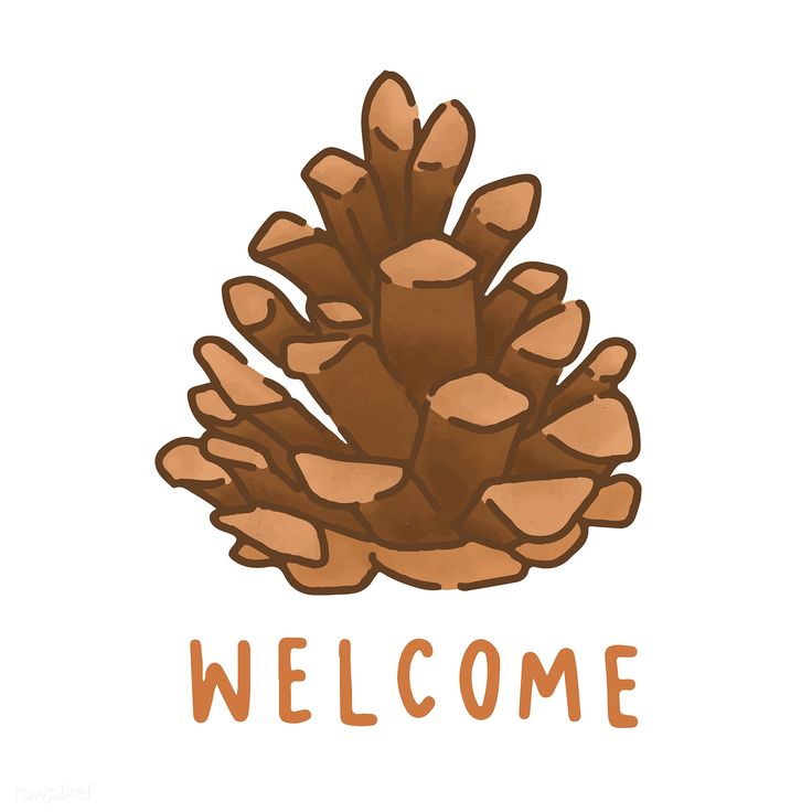 a drawing of a pine cone with the words welcome