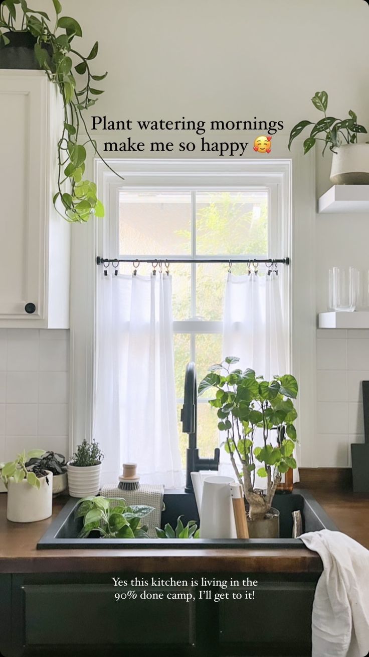 a kitchen sink sitting under a window next to a window sill with potted plants