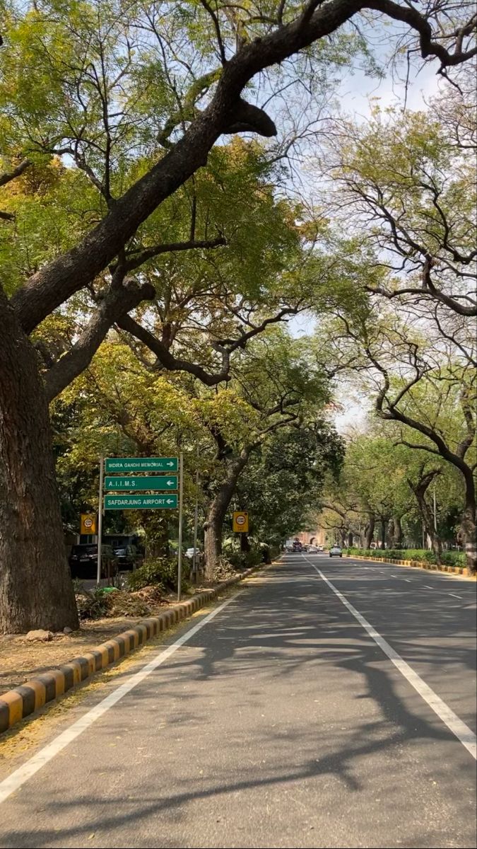 an empty street lined with trees and signs