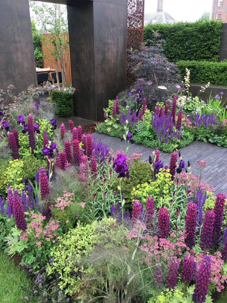 a garden filled with lots of purple and yellow flowers