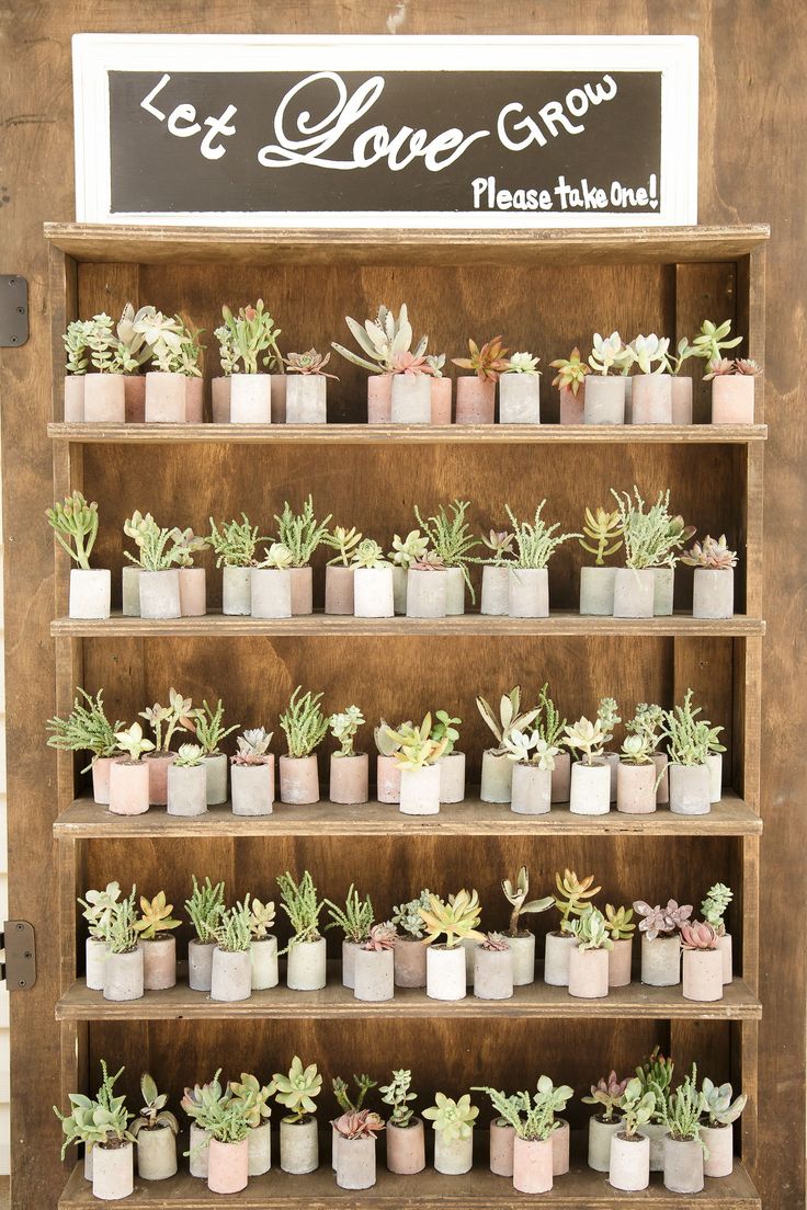 a shelf filled with lots of potted plants next to a sign that says love grow