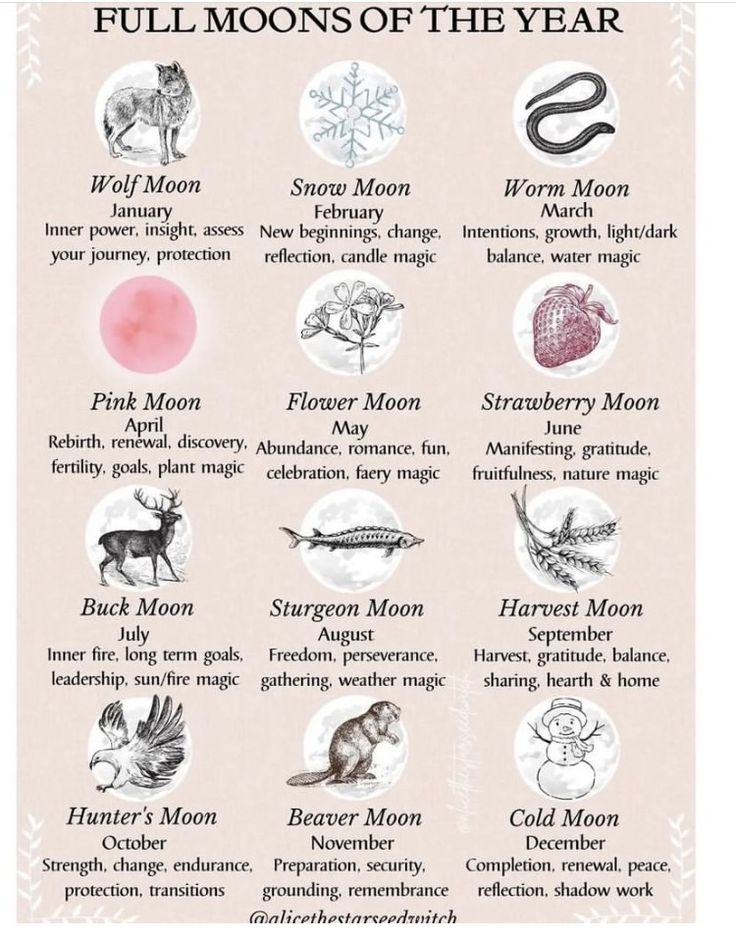 the full moon chart for each zodiac sign