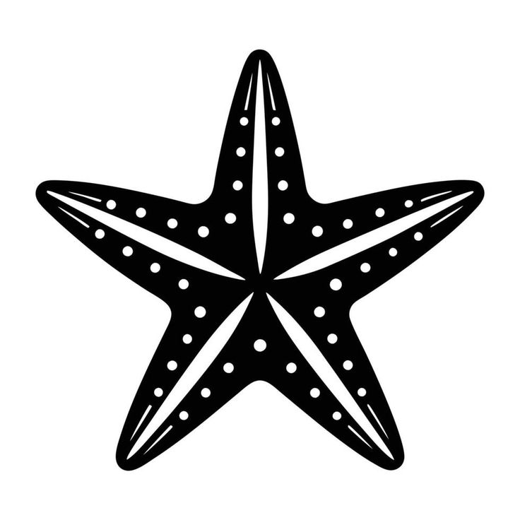 a black and white drawing of a starfish